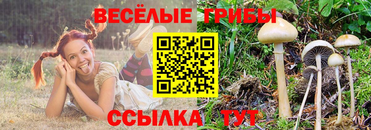 Магадан  Псилоцибиновые грибы MAGIC MUSHROOMS  Вход с VPN  Галлюциногенные грибы ЛСД 