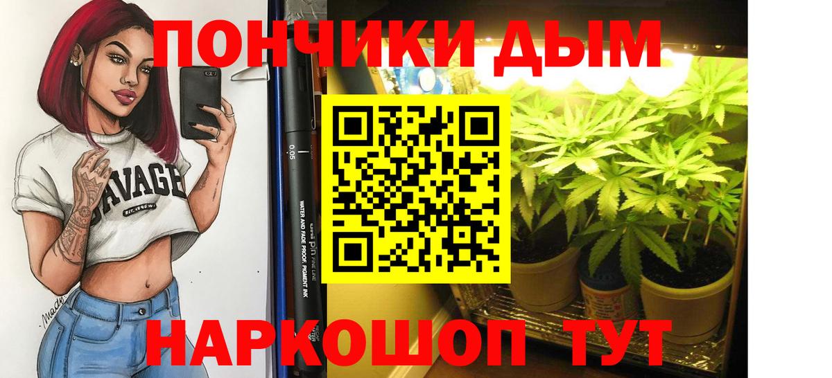 Бошки марихуана OG Kush  Бошки Шишки ГИДРОПОН  Марихуана конопля  Магадан  Вход с VPN 